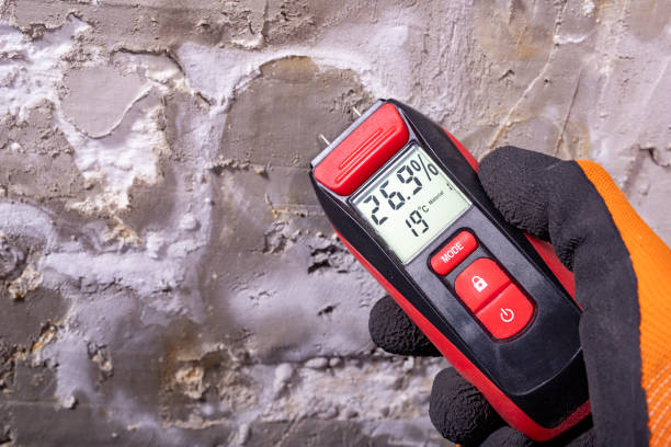 Best Mold Removal Company Near Me  in Ntgomery City, MO